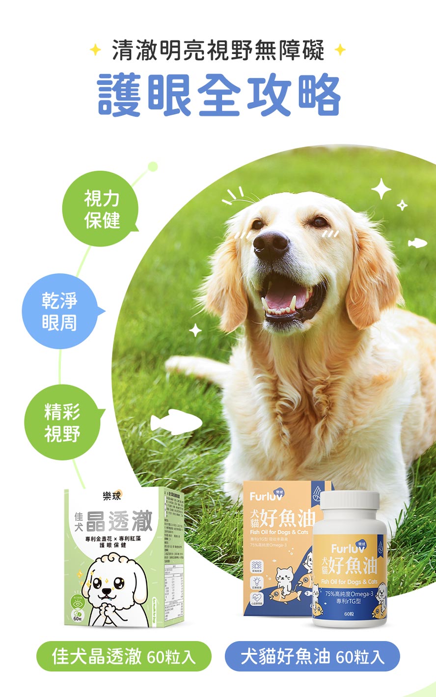 狗狗眼睛加強保健要吃護眼保健與好魚油。。